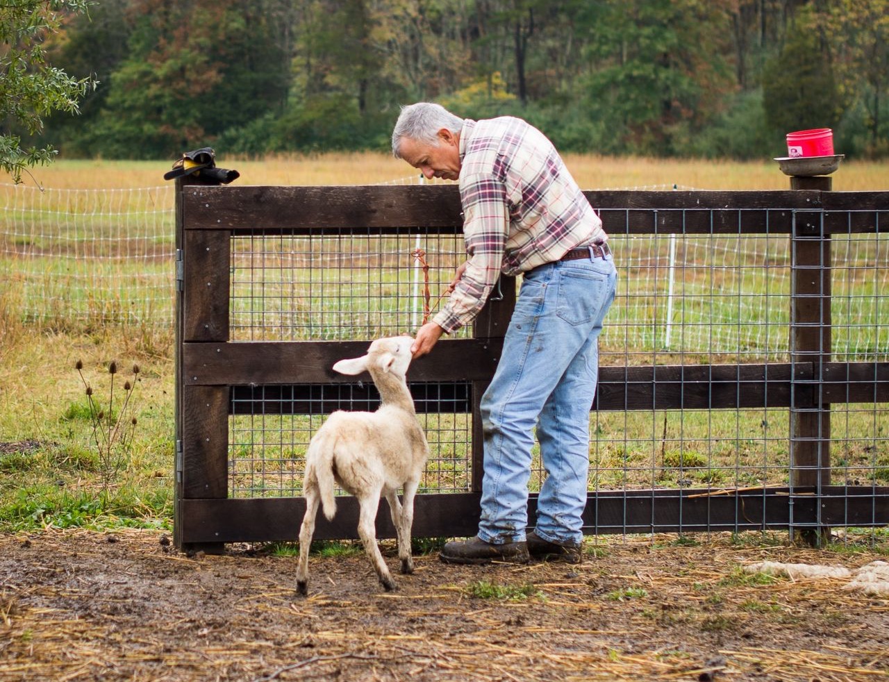 man in blue dress shirt holding white short coated dog during daytime